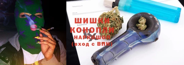 прущие грибы Алзамай