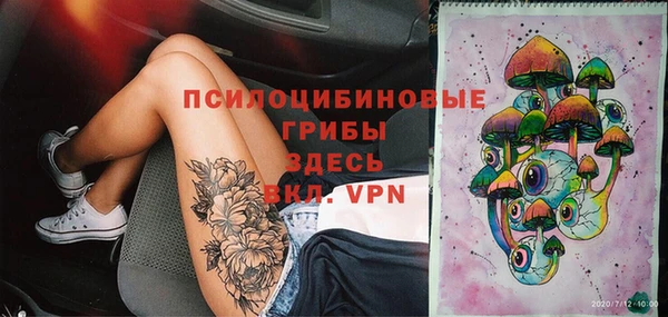 прущие грибы Алзамай