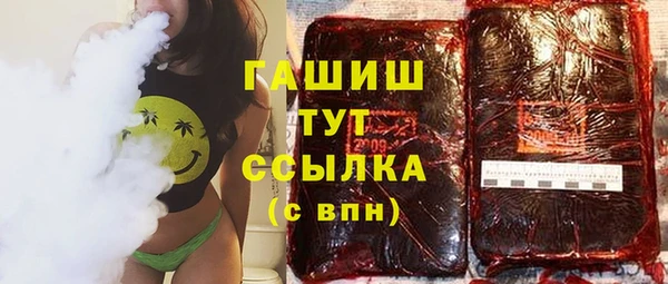прущие грибы Алзамай